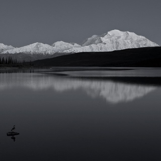 Denali mountain is reflected in a foreground lake in black and white.