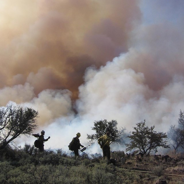 Firefighters tending to a prescribed burn.