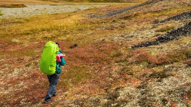 A hiker with vibrant green backpack walks on autumnal tundra toward the hills.
