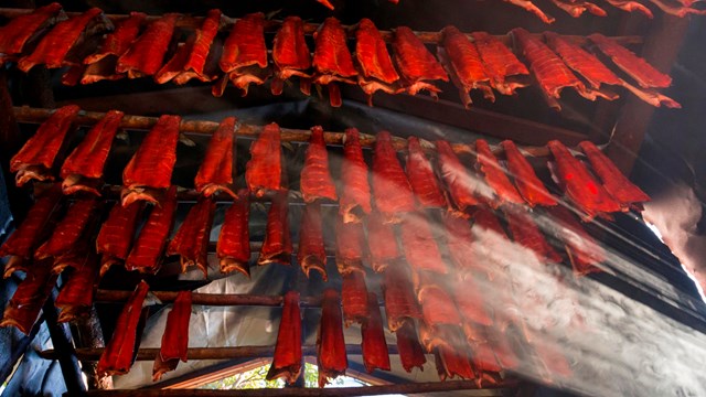 Rows of drying salmon fillets hang from wooden rods in smoke house.