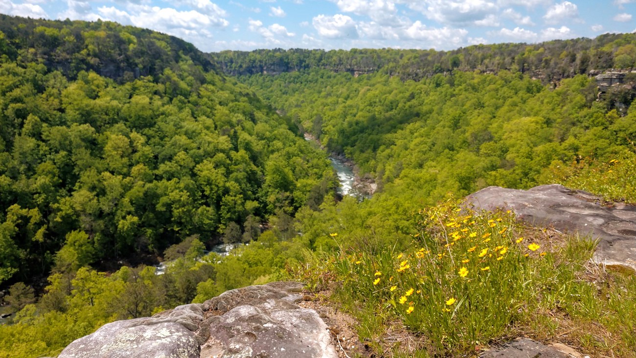 View of Little River Canyon from Wolf Creek Overlook