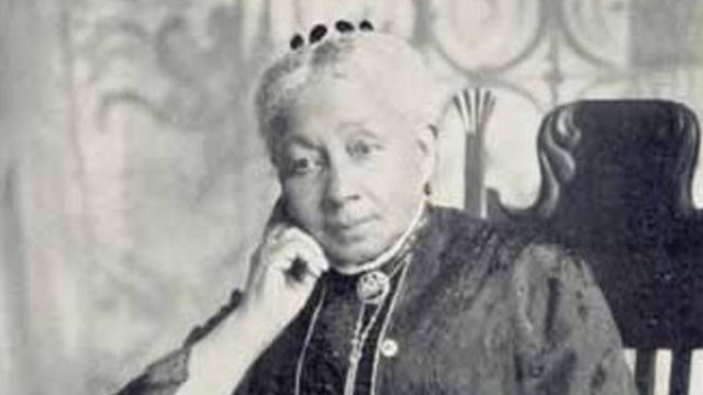 Portrait of Dr. Susan Mckinney Steward, seared in a long dress.