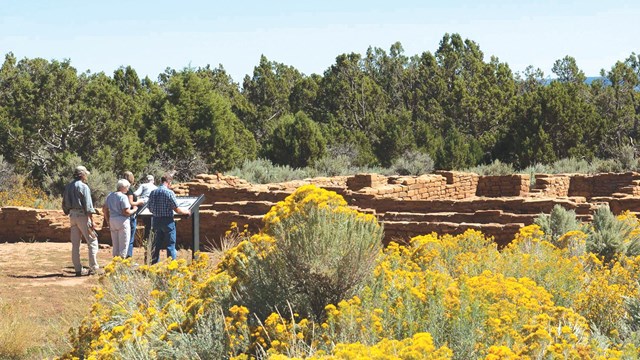 People surrounded by ancient stone-masonry walls with yellow shrubs all around.