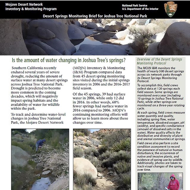  front page of Joshua Tree Desert Springs Monitoring Brief