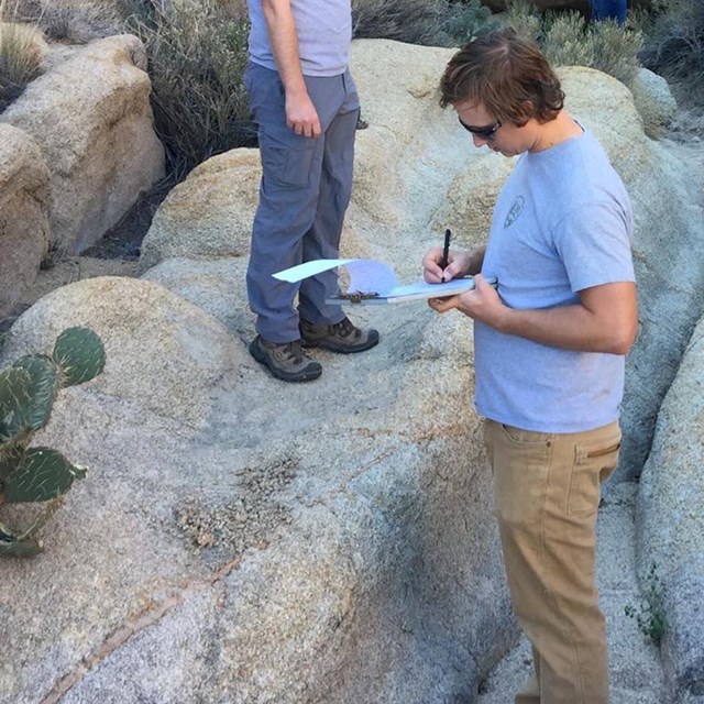 A scientist records data about a Desert Springs site as another looks on