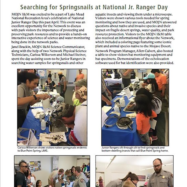 example newsletter article about Junior Ranger Day