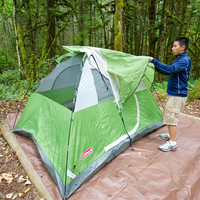 A man sets up a green tent in a campground.