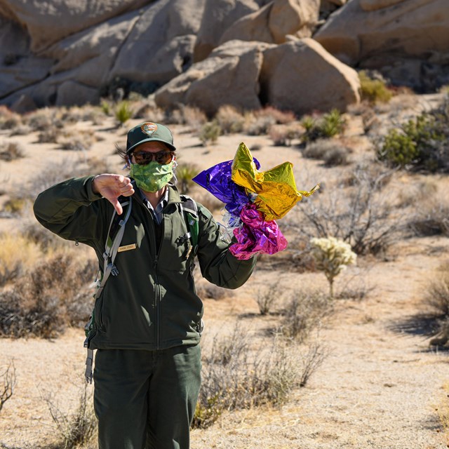 Park ranger holding deflated balloons in the desert