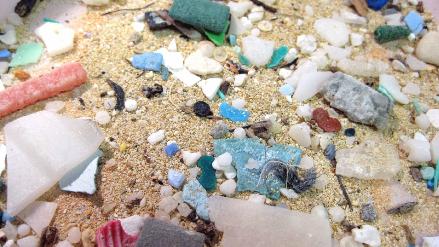 Micro plastics found in the ocean.
