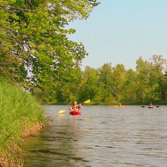 Kayakers paddle past a forested landscape.