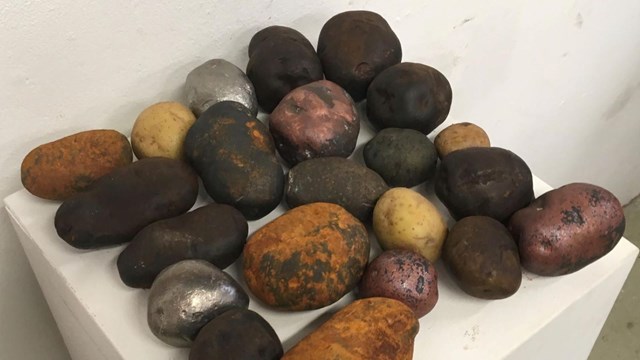 Cast iron potatoes of different color and type