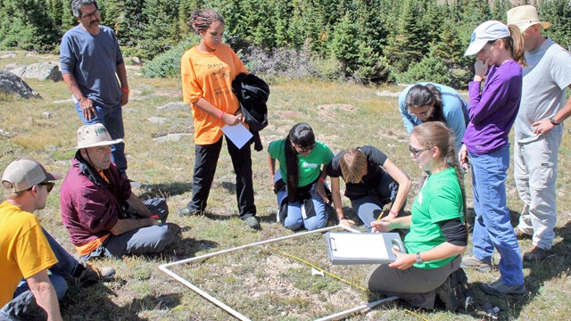Volunteers gathered around a rectangular plot on a mountainside.
