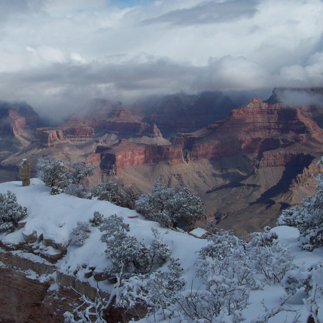 Snow covered rim of Grand Canyon under cloudy skies. 