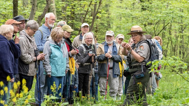 A Ranger discusses wildflowers to a group of visitors in a bright green spring forest.