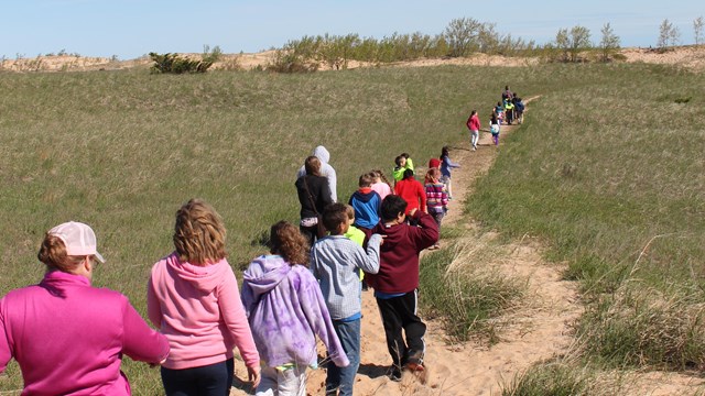 A line of students walk through a grassy dune ecosystem under a blue sky