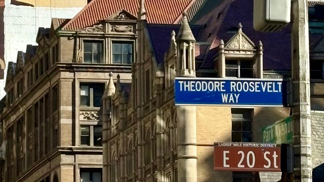 A street sign that reads "Theodore Roosevelt Way"