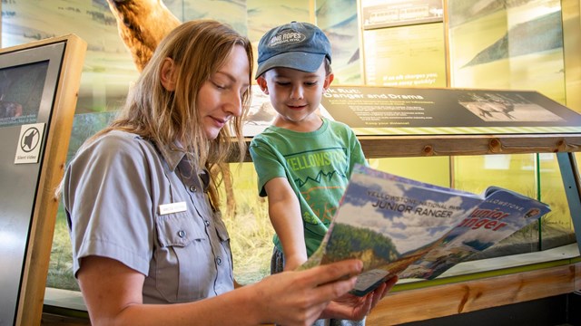 Become a junior ranger of Yellowstone National Park.