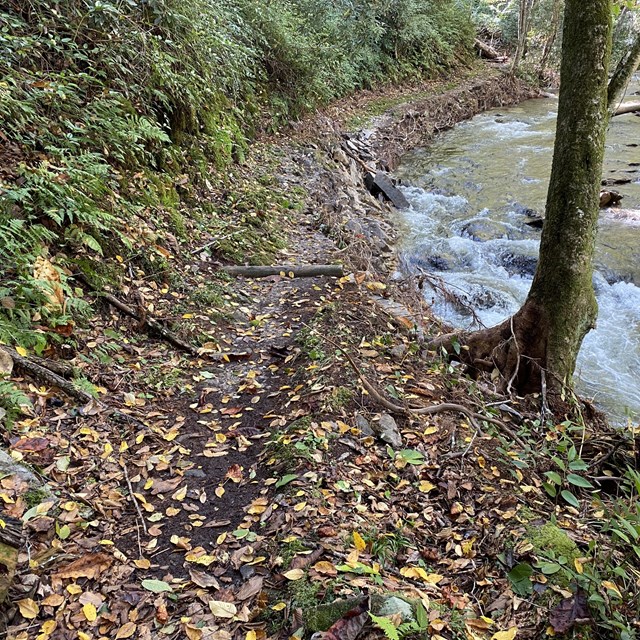 Parts of a trails tread missing sue to be washed away by nearby waterway in the forest.