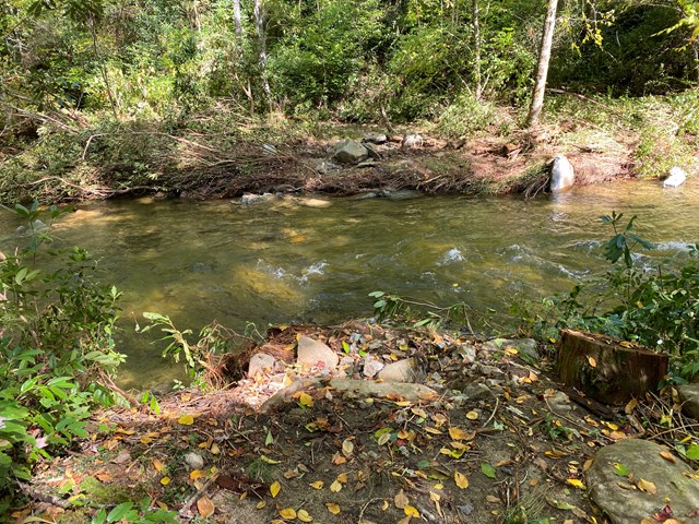 A stream crossing on Caldwell Fork Trail