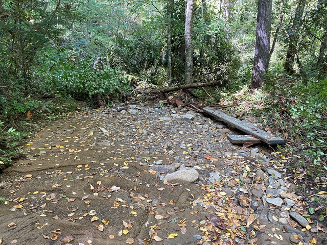 Debris on trail blocking the path in the forest.