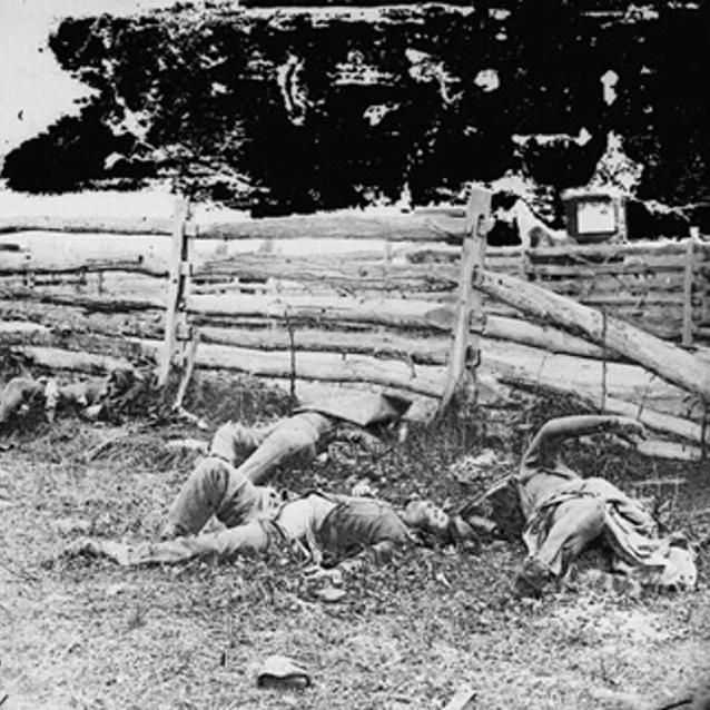 Photograph of dead soldiers from a Louisiana Regiment