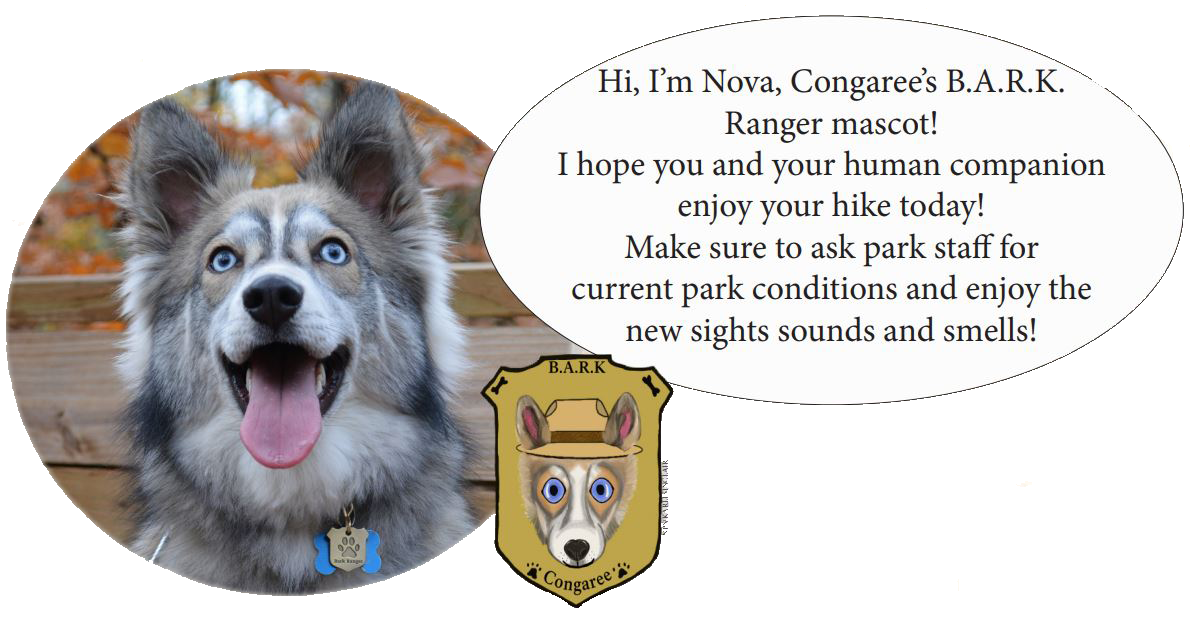 Photo and illustration of BARK Ranger Mascot, Nova