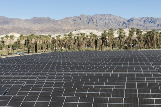 A large solar panel array take up most of the photo. In the background are palm trees, then distant desert mountains.