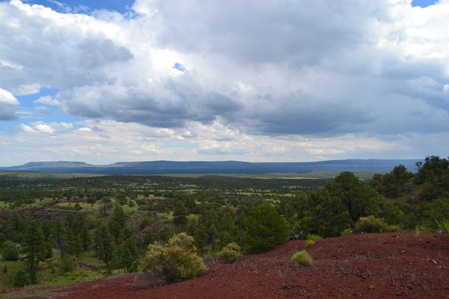 The El Calderon Cinder Cone with mesas in the distance.