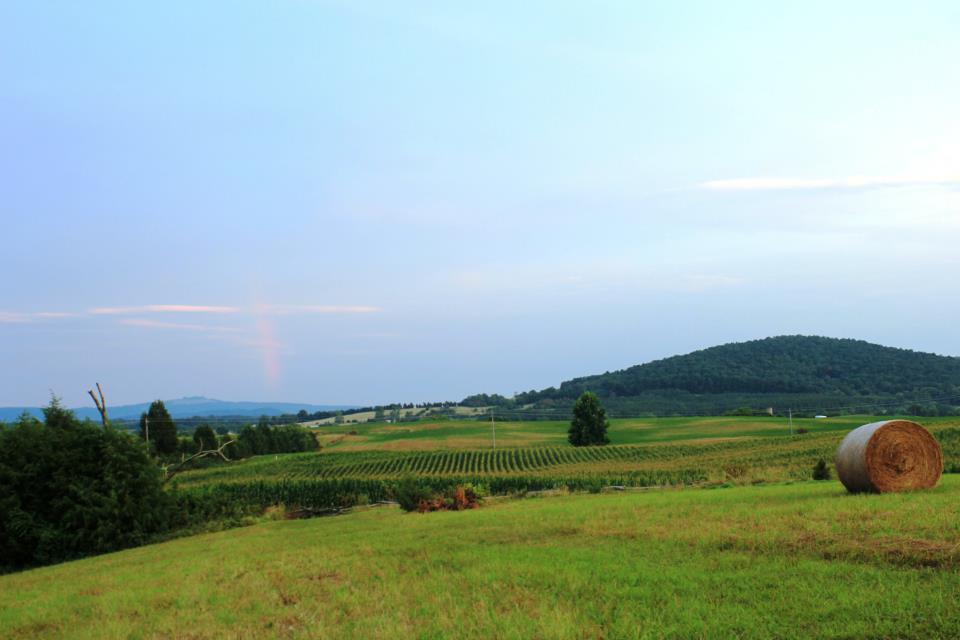 Civil War Battlefields in Virginia - Fredericksburg ...