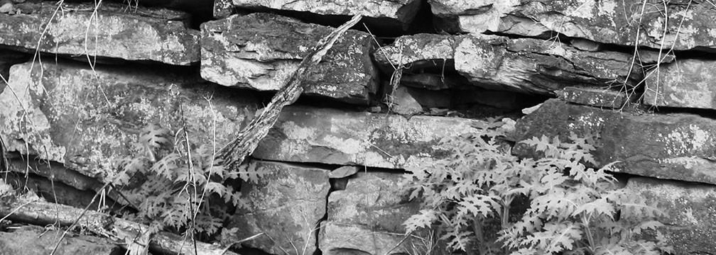 black and white image of an old stone wall