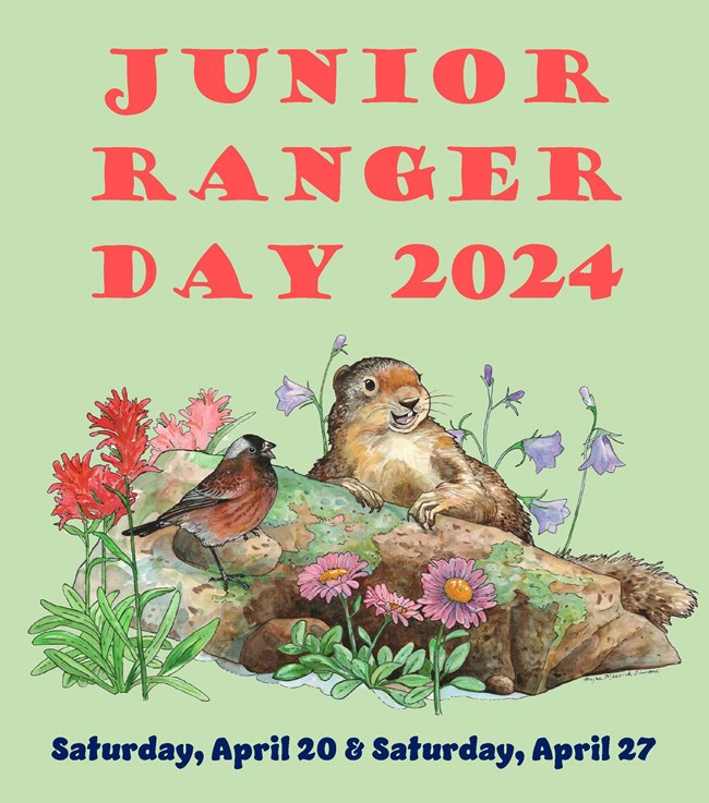 An illustrated cartoon poster of a squirrel and a bird on a rock with flowers around them. Large text says, "Junior Ranger Day 2024" above the illustration.
