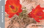 Senior pass features orange flowers