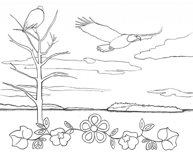 Line drawing of two eagles, one perched and one flying over a bay. Stylized flowers border the bottom of the page.
