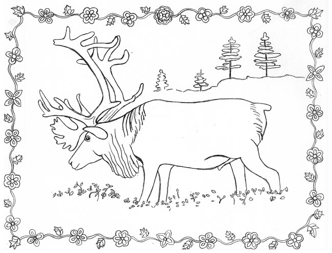 A line drawing of a caribou framed by a flower chain.