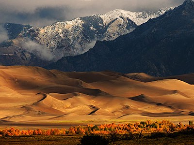 Gold cottonwood trees, dunes, and snowcapped mountain