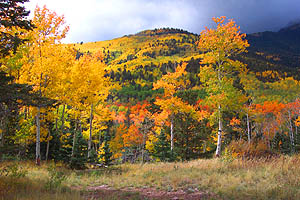 Autumn at Great Sand Dunes Autumn at Great Sand Dunes
