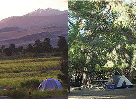 Tent sites in Pinyon Flats Campground