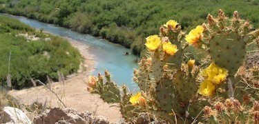 Rio Grande and Prickly Pear