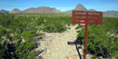Elephant Tusk trailhead