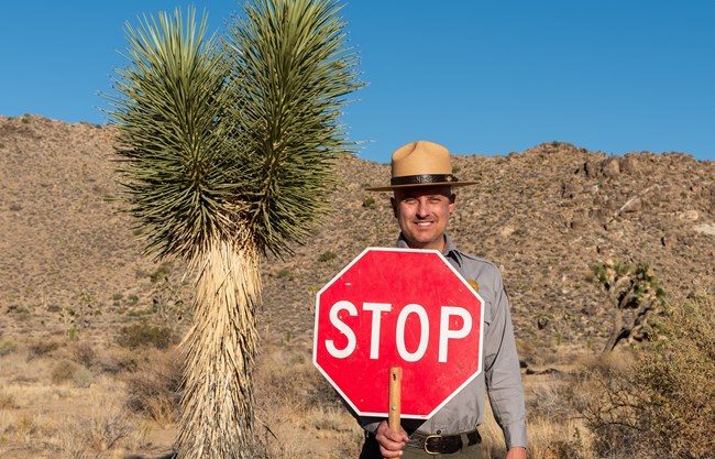 A Park Ranger smiling and holding up a stop sign with a Joshua tree, rocky mountains, and a blue sky in the background.