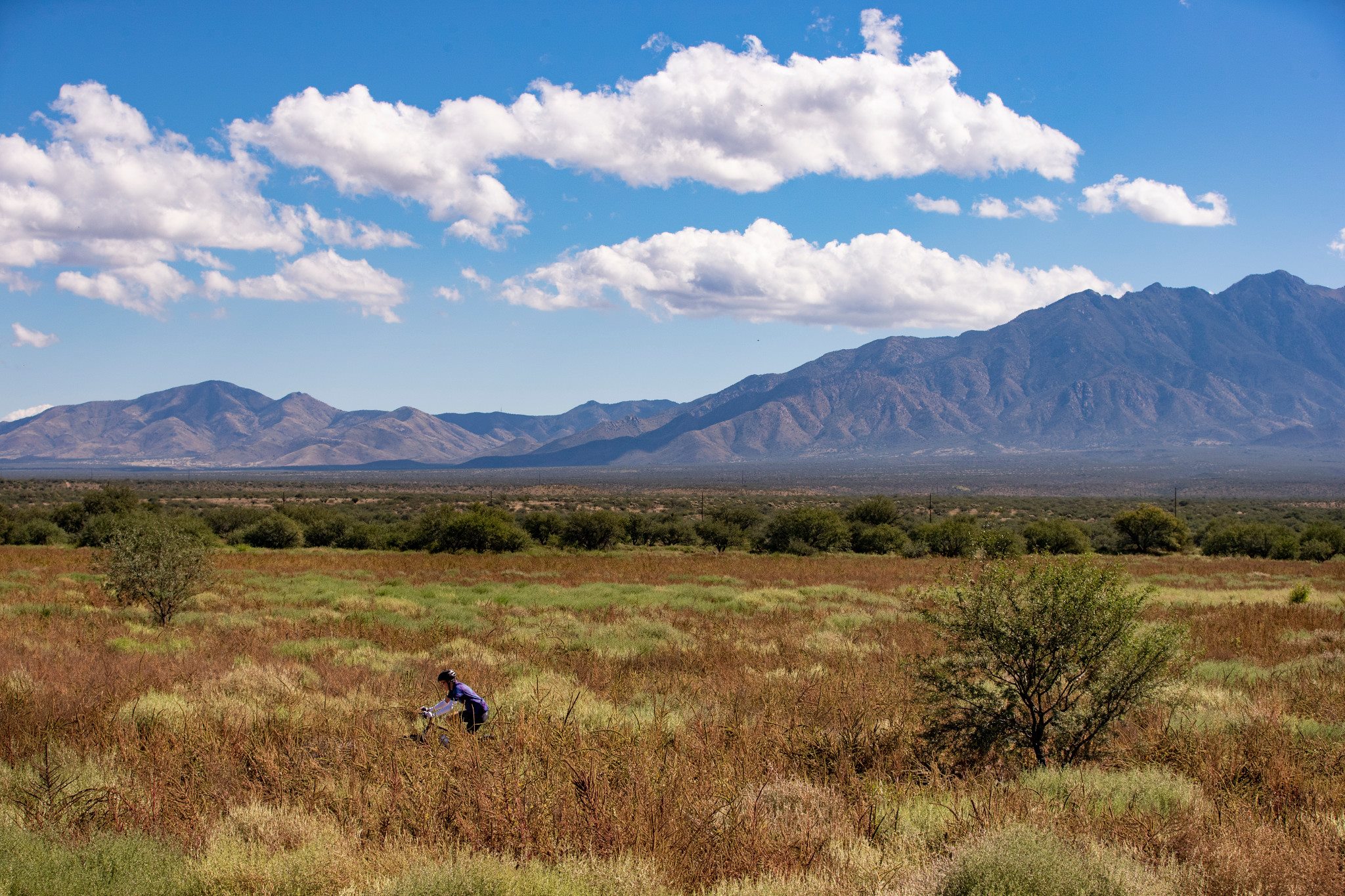 2018 Canoa Pima County Trail landscape A bicycle rider travels the Anza Trail in a desert brush landscape. Large mountains loom in the background.