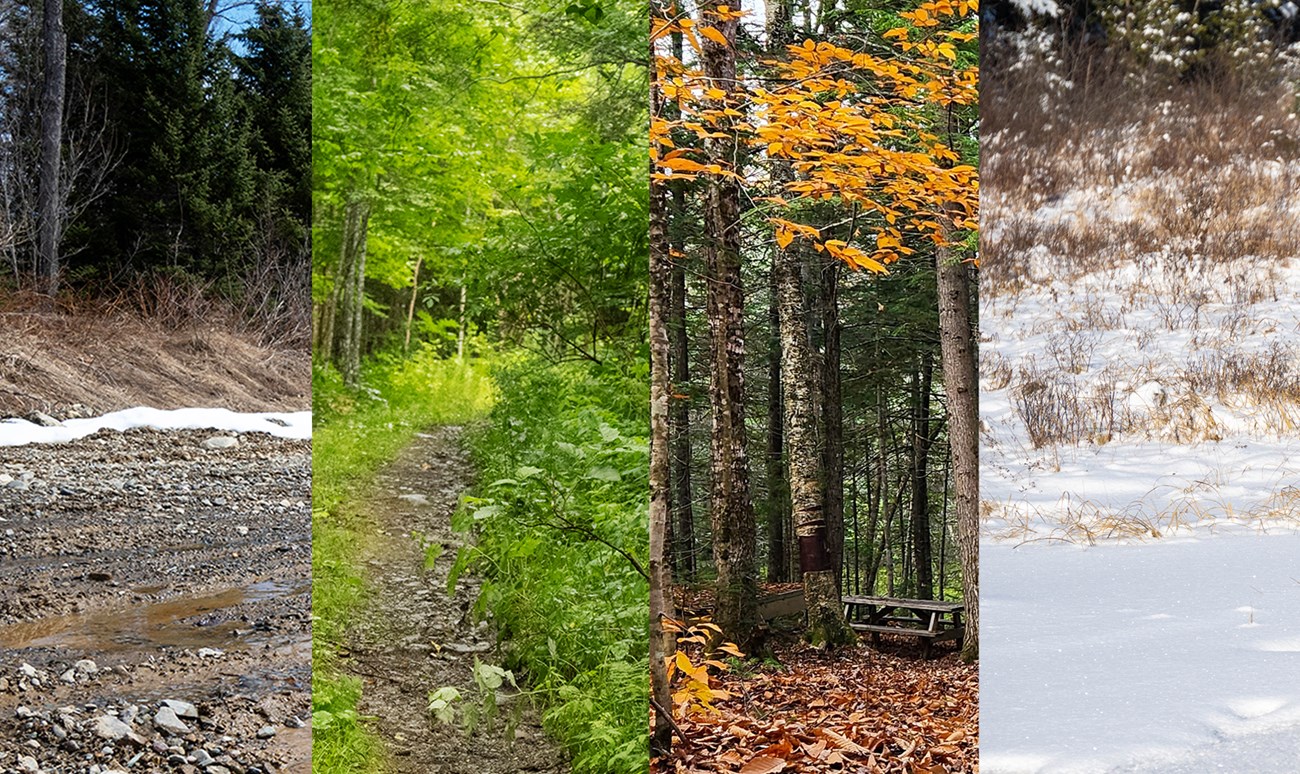 A image divided into 4 sections. Each section has a color photograph to show each season. Spring is sunny, but muddy. Summer is green and lush. Fall has orange and brown leaves in the woods. Winter is a snow covered ground.