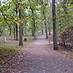 Early fall day on the trail down Cheatham hill.