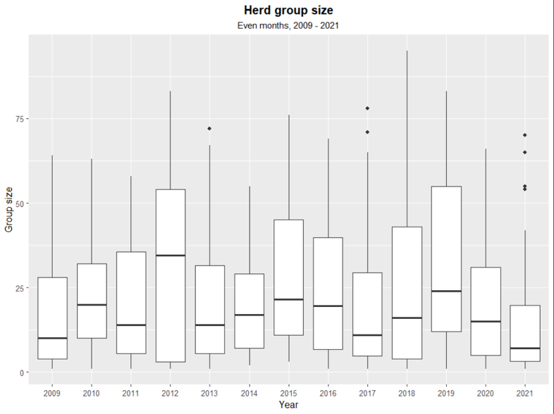 Bar graph of Elk herd group size
