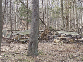 Picnic tables at Maple Springs have been destroyed by falling trees