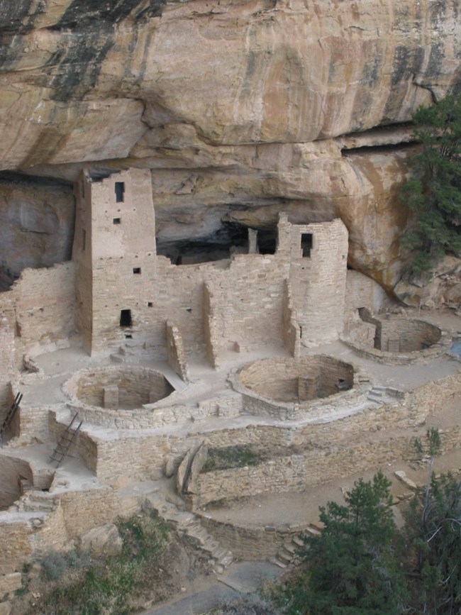 A section of Cliff Palace, an Ancestral Pueblo cliff dwelling, shows three kivas, a tower, and partial walls. All built of tan stones and mortar