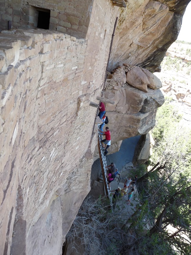 Looking down towards a concrete platform where visitors begin to climb an open air, 32-foot ladder with wood steps into Balsony House, an Ancestral Pueblo cliff dwelling constructed of tan stones and mortar. Six people are on the ladder and five waiting