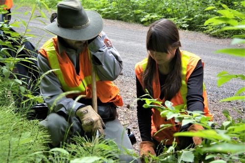 Park ranger and intern identify plants.