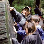 Volunteers assist park staff in numerous activites, from educational programs to trail restoration. This photo features the education program