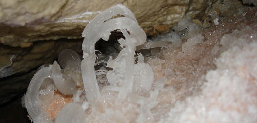 Gypsum flower (NPS photo)
